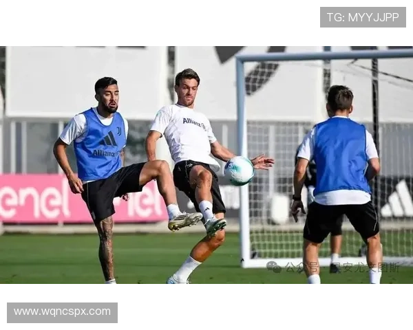 斯帕莱蒂称布雷默鲁加尼将担纲中路核心重任 斯帕莱蒂称布雷默鲁加尼将担纲中路核心重任